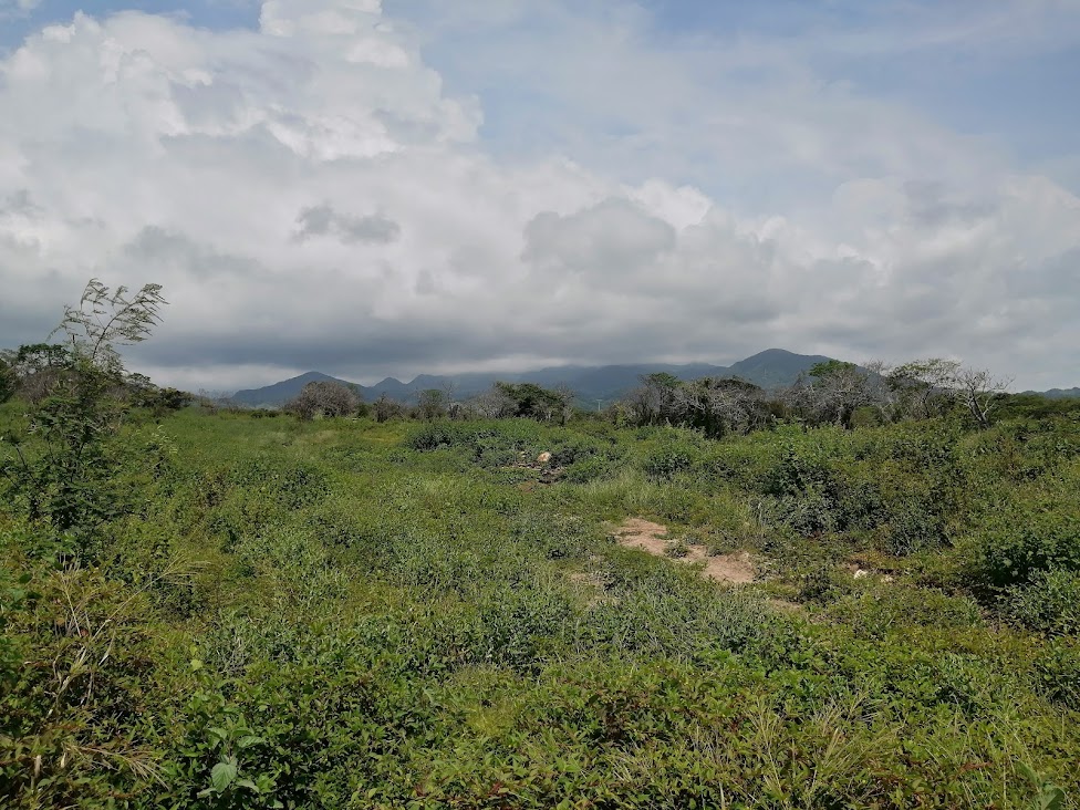 Loma Bonita Lots