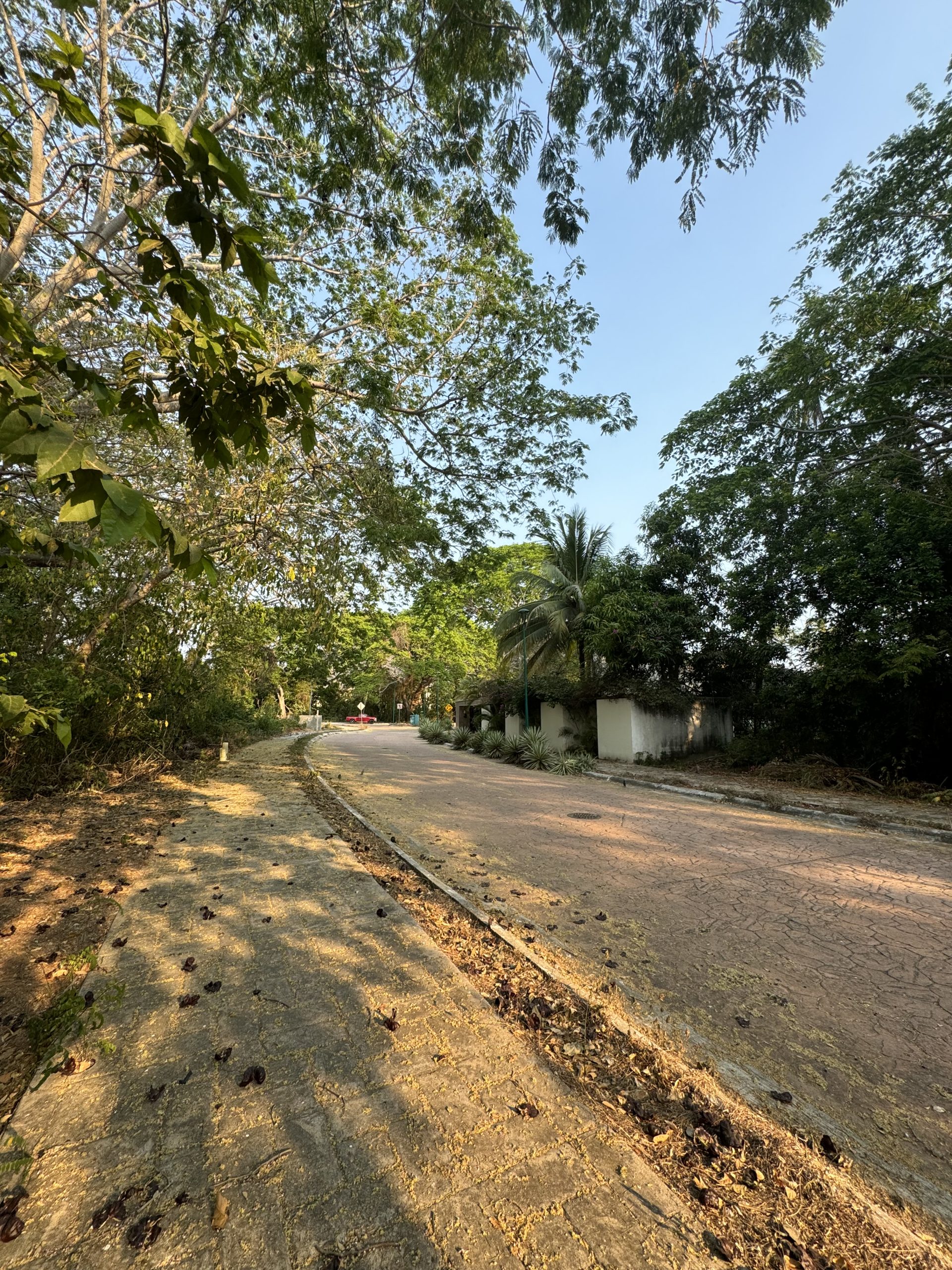 Lot in Ixtapa