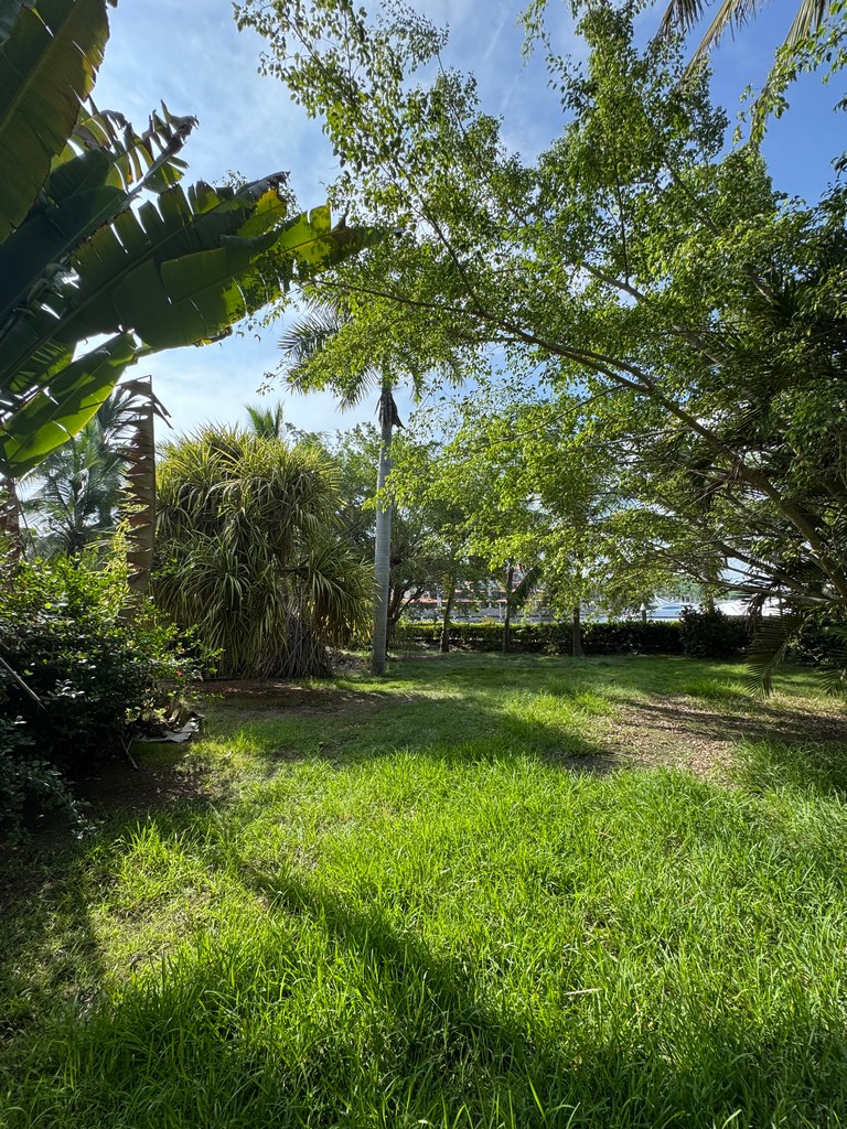 Lot in Marina Real