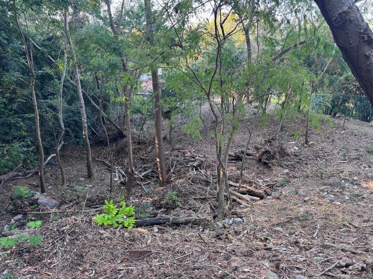 Land in Ixtapa